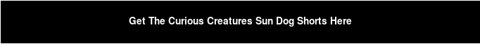 Get The Curious Creatures Sun Dog Shorts Here