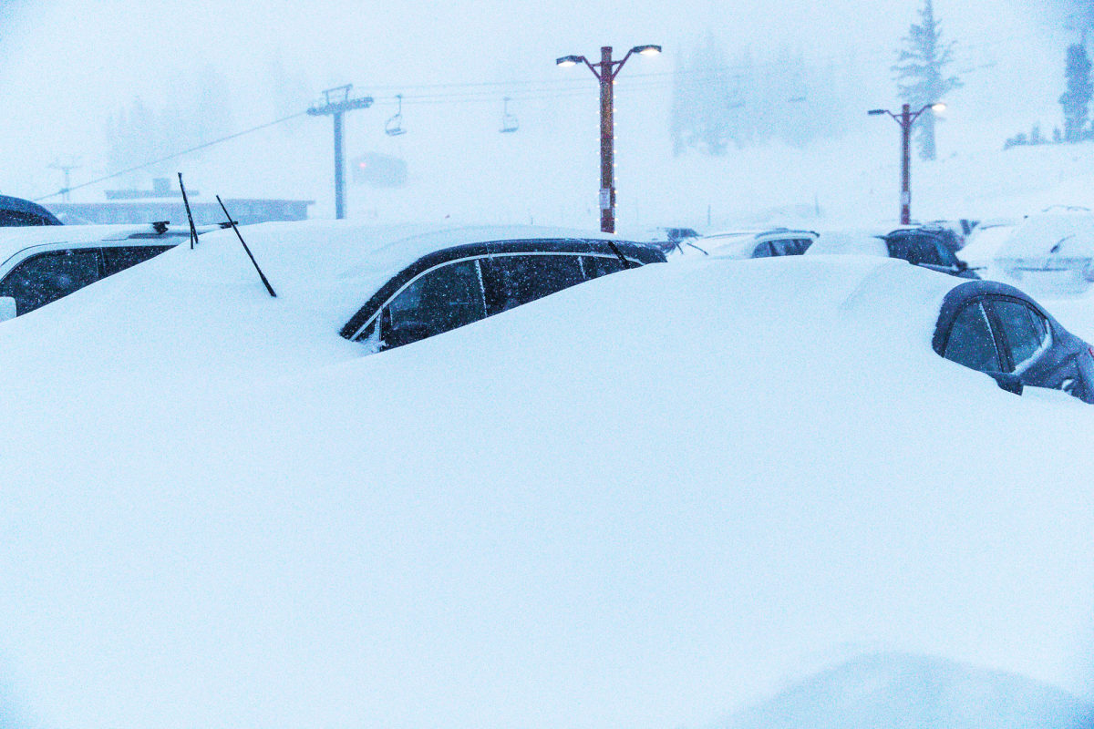 You can stop drooling now. PHOTO: Mammoth Mountain